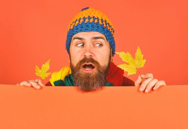 Ekim ve Kasım zaman fikri. Adam akçaağaç yapraklarını tutuyor.