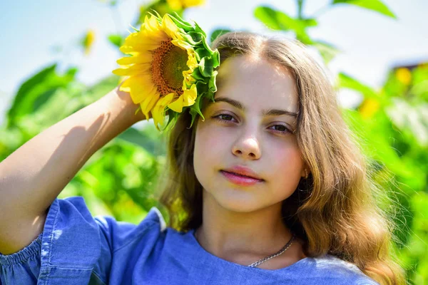 Красота летней природы. Маленькая девочка на подсолнечном поле. Желтый цветок подсолнуха. Счастливого детства. красивая девушка с длинными волосами в поле. симпатичный ребенок с цветами. Маленькое растение — стоковое фото