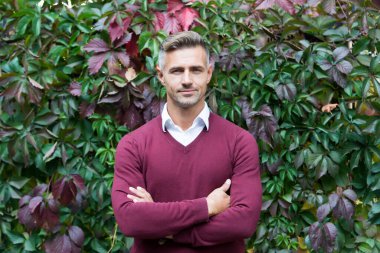 Gerçek güven. Erkek güz mevsimi modası. Sonbahar yaprakları üzerinde yakışıklı bir adam. Erkek güzellik konsepti. Kendine güvenen iş adamları günlük iş kıyafetleri giyerler. Tıraşsız, olgun bir adam.