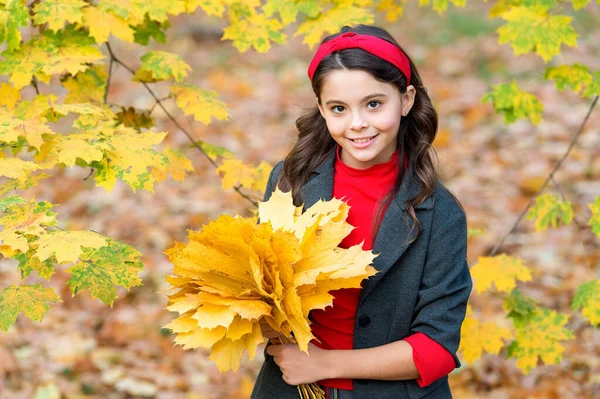 レトロな女の子が黄色のカエデの葉自然を集め — ストック写真