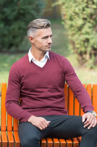 Onun mükemmel tarzı. Bakımlı adam bankta oturur. Kendine güvenen iş adamı mor kazak giyer. Sıradan iş modası. Erkek güzellik ve moda. Olgun yakışıklı adam dışarıda rahatla.