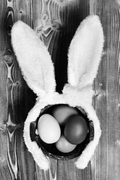 Kolorowe jaja wewnątrz wiadra i uszy królika. Szczęśliwej koncepcji Wielkanoc — Zdjęcie stockowe
