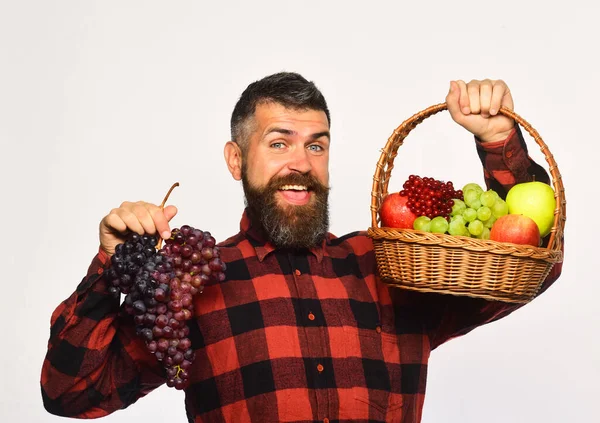 수염을 기르고 과일과 자주색 포도가 담긴 바구니를 들고 있는 사람 — 스톡 사진