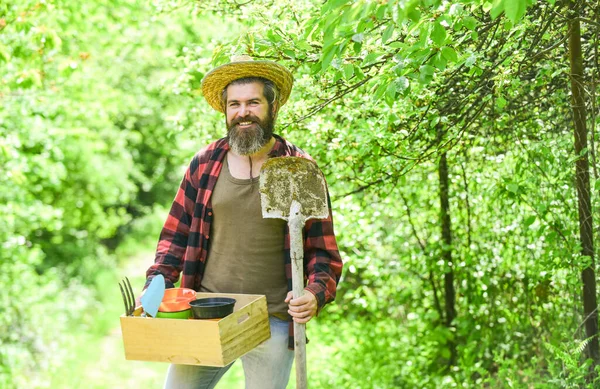 Zaailingen planten in de tuin. Mensen tuinieren thuis. Tuingereedschap en bloemen op de groene tuin. man in de zomer landbouwgrond met doos. landbouw tuinman hobby en tuin baan. bodem en meststof — Stockfoto