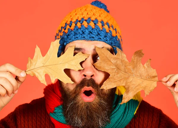 Ekim ve Kasım zaman fikri. Sonbahar ve düşen yapraklar mevsimi