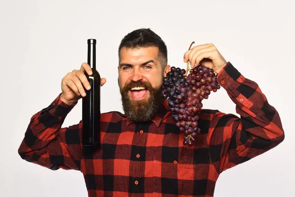 Man håller ett gäng druvor och flaska vin — Stockfoto