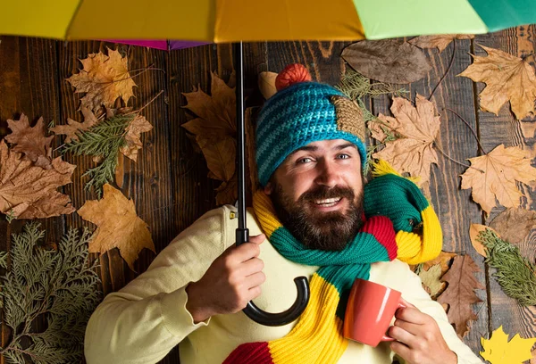 Zeit zum Ausruhen. Naturverliebt. Jedes Wetter ist gut. bärtiger Mann inmitten herbstlicher Ahornblätter. Hipster halten bunten Regenschirm in der Hand. Ernte- und Herbstwetterkonzept. Freizeit im Park. Kein Regen mehr — Stockfoto