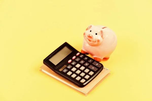 Saving money. First salary. bookkeeping. financial report. family budget management. business start up. Working with numbers. piggy bank with calculator. Moneybox. RICH LIFE — Stock Photo, Image