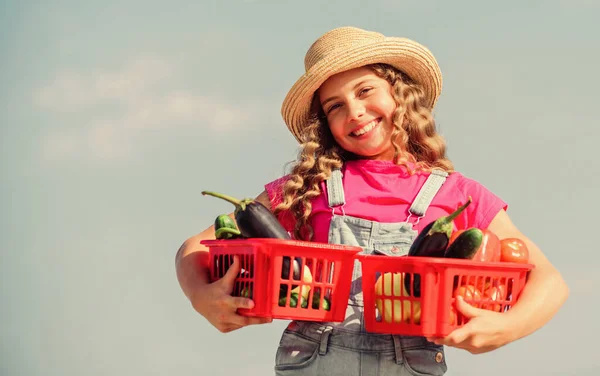 Friendly look. harvest vitamin. spring market garden. little girl vegetable in basket. Only natural. kid on summer farm. Organic food. happy little farmer. autumn harvest. healthy food for children