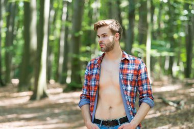 Çekici ve karizmatik. Seksi adam, doğal manzara üzerinde tahta üzerinde duruyor. Açık tişörtlü, seksi, çıplak vücutlu yakışıklı bir adam. Yaz tatili. Gezgin şehvet ve seyahat