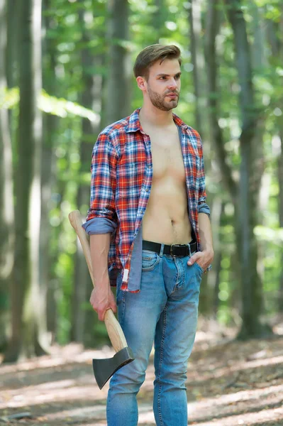 Herkesin kendine biraz zaman ayırmaya ihtiyacı vardır. Yakışıklı adam ormanda baltayı tutuyor. Açık tişörtlü, seksi gövdeli traşsız adam. Oduncu tarzı. Yaz tatili. Doğa manzarası. Seyahat ve seyahat tutkusu