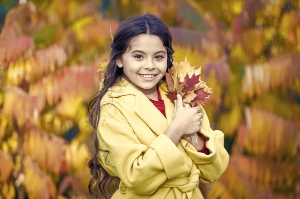Ősszel gyönyörűek a színeid. Kislány jó szórakozást játszani színes őszi levelekkel. Boldog gyermek séta az őszi tájon. A kisgyerek szeret sétálni az őszi parkban. Boldog őszt! — Stock Fotó
