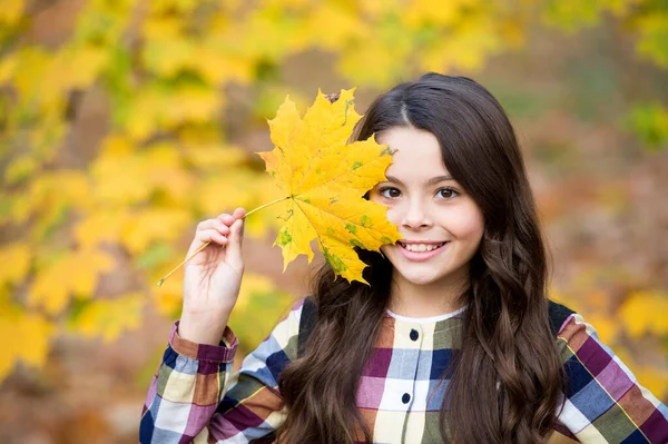 黄色のカエデの葉を持つ可愛い女の子秋の自然 — ストック写真