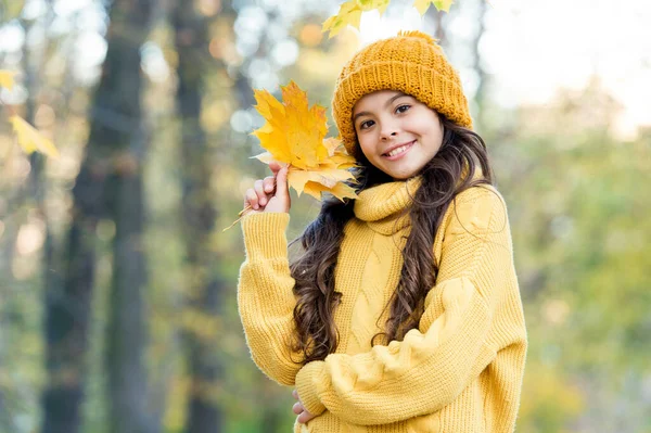 Gosse smilimg dans le style d'automne recueillir des feuilles d'érable jaune, enfance — Photo