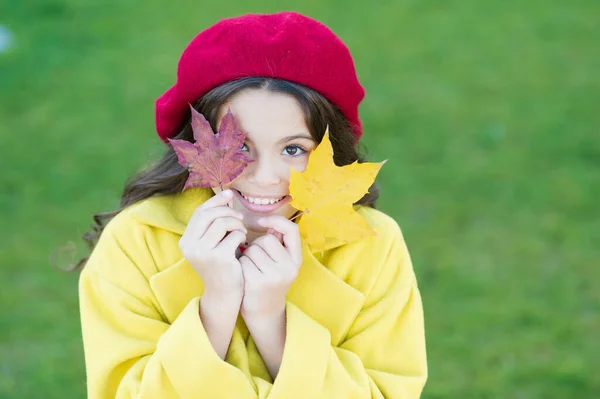 Menina parisiense feliz usar boina francesa e segurar folhas de bordo outono, infância — Fotografia de Stock