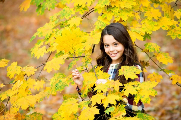 Ragazza sorridente in foglie d'acero gialle, autunno — Foto Stock