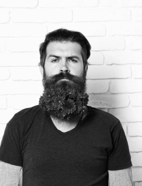 Beyaz tuğlalı arka planda sakallı bir hippi.