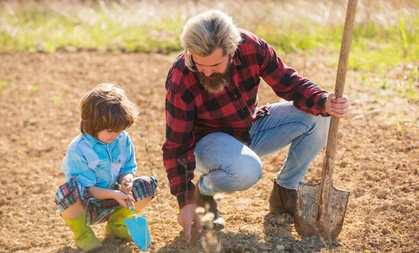 Bitki yetiştiriyorum. Baba oğluna toprak ekmeyi öğretiyor. Sakallı adam ve çocuk baharda bitki ekerler. Açık toprak fabrikası. Aile bahçe aletleri kullanır. Hobi çiftliği. Çiftçilik ve tarım