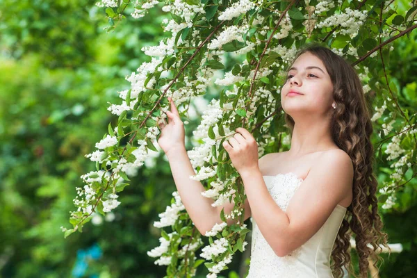 Gorgeous girl summer park white bloom flowers background, wedding day concept — Stock Photo, Image