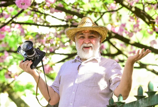 Viagens e turismo. Viagem de aposentadoria. Capturar a beleza. Fotógrafo no jardim florescente. Senior man hold câmera profissional. Cursos de fotografia. Avô feliz. Férias. Foto de viagem — Fotografia de Stock