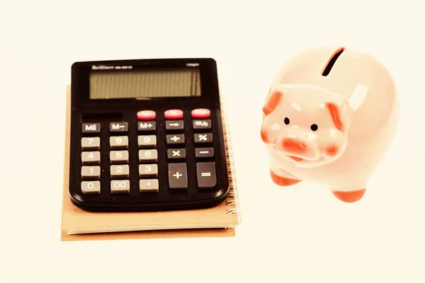 Economics and profit management. Economics and finance. Piggy bank pink pig and calculator. Exchange rates. Economics and business administration. Credit debt concept. Piggy bank money savings