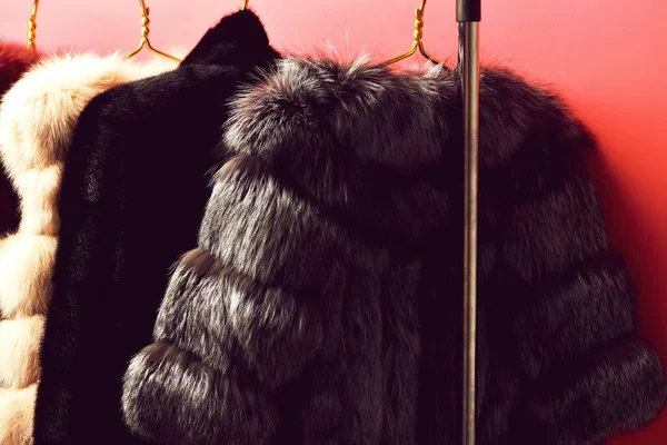 Fashionable fur on hangers — Stock Photo, Image