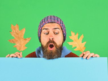 Yeşil ve cyan arka planda meşe yaprağı tutan adam