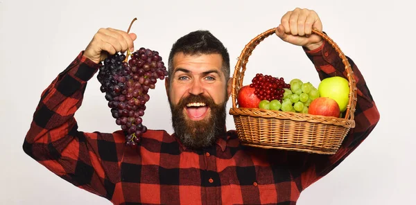 Jordbrukare med glatt ansikte presenterar äpplen, tranbär och mogna druvor — Stockfoto