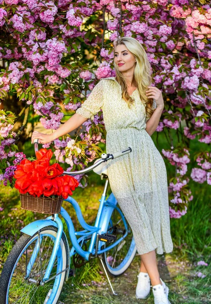 Élvezem a tavaszi napot. fiatal divatos lány retro kerékpár közelében cseresznyevirág. lány vintage kerékpár rózsaszín sakura sikátorban. virágzó fa tavasszal. természetes női szépség. nő a kertben — Stock Fotó