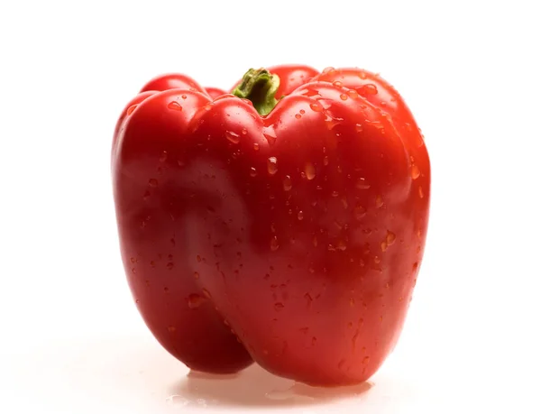 Pepper dengan rasa manis dan tetes air pada kulit mengkilap — Stok Foto
