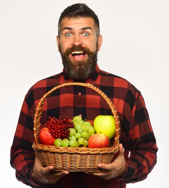 턱수염이 있는 사람이 과일 바구니에 하얀 배경이 있는 과일을 담고 있다 — 스톡 사진