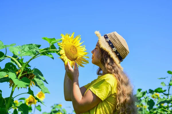 自然と調和している。子供は麦藁帽子をかぶる。黄色の花の分野の子供。ひまわり畑の10代の女の子。夏休みの概念。豊かな収穫と農業です。幸せな子供時代 — ストック写真