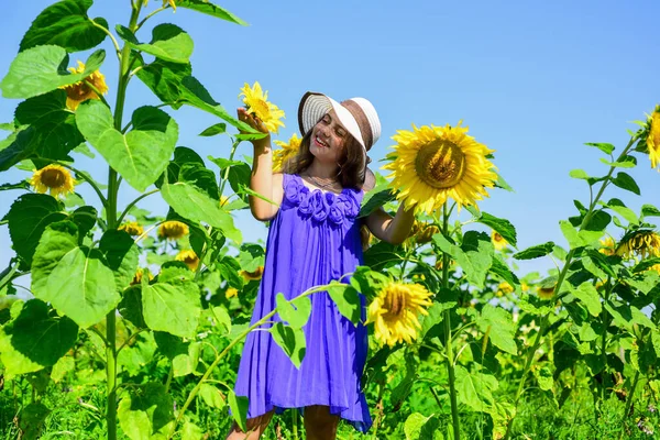 Niña en el campo de girasol. flor amarilla de girasol. Feliz infancia. hermosa chica usar sombrero de verano de paja en el campo. niño bonito con flor. belleza de la naturaleza de verano. Floristería positiva —  Fotos de Stock