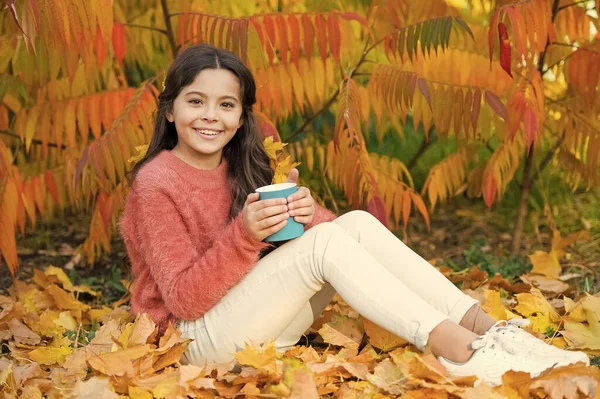 Tazza di caffè può farti sentire caldo. Piccolo bambino tenere tazza di caffè caldo. La bambina ama bere caffè sul paesaggio autunnale. Buongiorno. La colazione. Tutto ciò di cui hai bisogno per sentirti meglio è caffè — Foto Stock