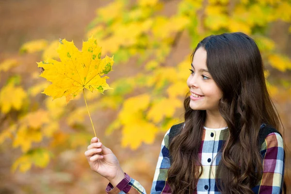 黄色のカエデの葉を持つ笑顔の子供自然 — ストック写真