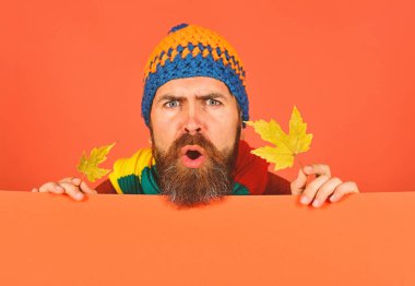 Şapkalı adam turuncu arka planda yeşil akçaağaç yaprakları tutuyor.