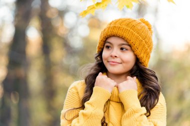 Güzel çocuk sarı örgü kazak ve şapka giyer, sonbaharda.