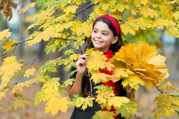 Kind met lang haar in het herfstbos. schoonheid van de natuur. Een kind in het herfstpark. vrolijk meisje met gele esdoorn bladeren. Gelukkig kind geniet van het herfstweer. klein meisje in de herfst bladeren. valtijd — Stockfoto