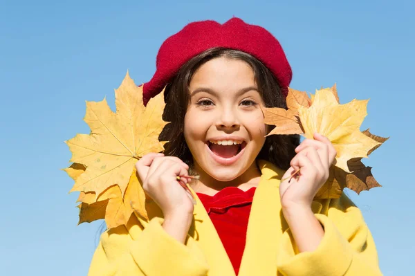 Щаслива паразитна дитина носить французький берет і тримає осіннє кленове листя, мода — стокове фото