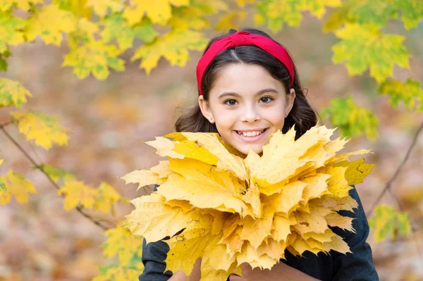Boldog retró lány. A lány sárga juharfaleveleket gyűjt. Egy kölyök az Őszi Parkban. Az ősz az iskola ideje. jó idő a kinti sétához. gyermek tartsa őszi levelek. a természet szépsége. Teljesen szabadnak érzem magam — Stock Fotó