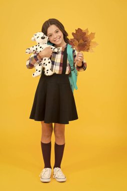 İlginç bir öğrenme, ilginç bir oyun. Küçük çocuk oyuncak ve sonbahar yapraklarını tutuyor. Okulda yumuşak köpekle mutlu küçük çocuk oyunları. Oyna ve kreşi öğren