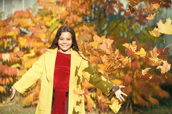 落ち葉。秋の自然。葉で幸せな小さな子供の屋外遊び。晴れた日に公園を歩く少女。お楽しみください。秋の暖かい。葉が落ちる。秋のコートを着たスタイリッシュな女の子秋の公園を歩く — ストック写真