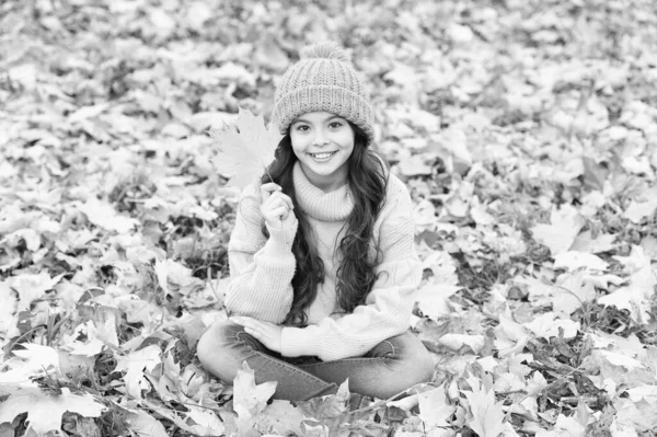 Turning over a new leaf. Happy small girl on autumn day. Small kid smile sitting on fall leaves. Small child hold autumn leaf. Adorable small baby in fall fashion style