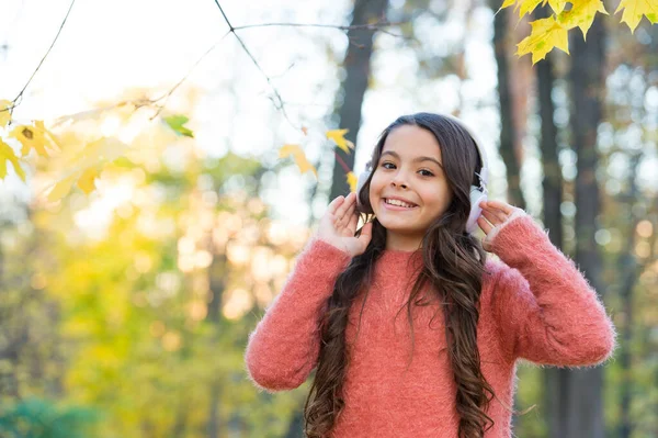 街から逃れるための最良の方法。女の子はヘッドフォンをしてる。近代的な学校教育。子供は森の中で音楽を聴く。学ぶのを楽しんで。秋の公園でセーターを着て。秋の自然の中でリラックスして — ストック写真