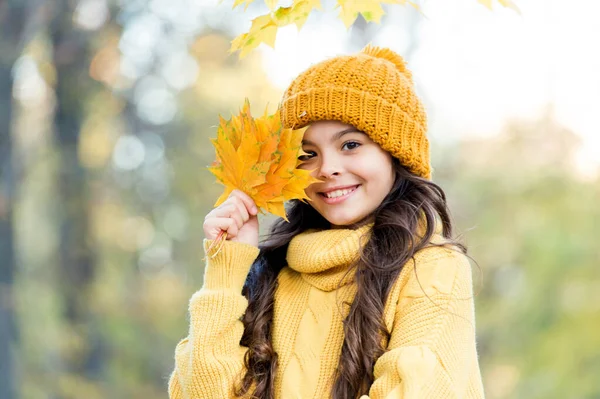 Sentire la natura. maglieria caldo in qualsiasi tempo. ragazza in maglione giallo e cappello. bambino godere della natura nel parco autunnale. autunno è un momento di divertimento. moda autunno per i bambini. bambino tenere foglie d'acero autunno — Foto Stock