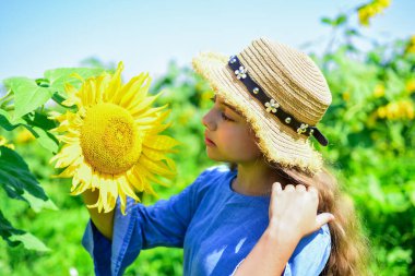Neşeli bir hafta sonu. Çiçekli güzel çocuk. Yaz doğasının güzelliği. Ayçiçeği tarlasında küçük bir kız. Ayçiçeğinin sarı çiçeği. Mutlu çocukluk. Güzel kız tarlada hasır şapka takıyor.