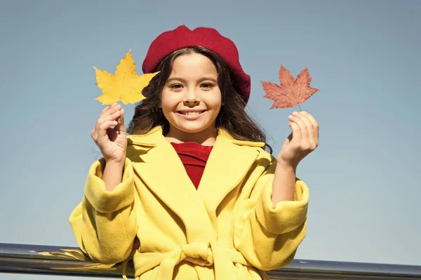 Inspiring fall. Ideas for autumn leisure. Little girl adore autumn season. Kid hold maple leaves. Small girl wear fall outfit outdoors. Autumn bucket list for children. Clear sky and good weather