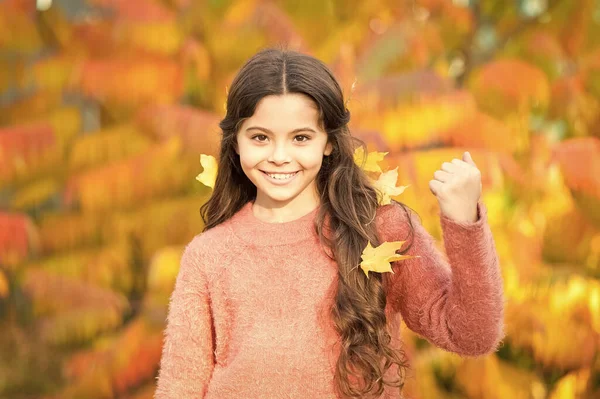 Az ősz jó móka. Boldog kisgyerek élvezze az őszi szezont. Kislány játszik a friss levegőn a napsütéses őszi napon. Őszi napéjegyenlőség az ősz első napján. November 20. Gyermeknap. Őszi szünet — Stock Fotó