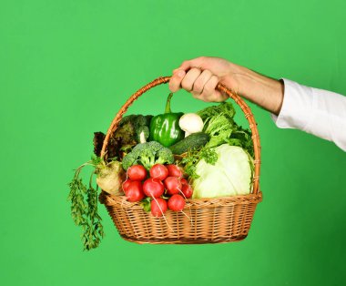 Vejetaryen beslenme konsepti. Çiftçi lahana, turp, biber, brokoli, havuç tutar.