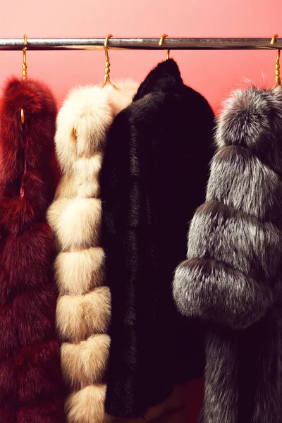 Fashionable fur on hangers — Stock Photo, Image